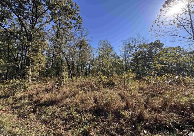Homes for sale in New Concord, KY | 00 Ridge Rd, New Concord, KY 42076 | MLS# 26016755