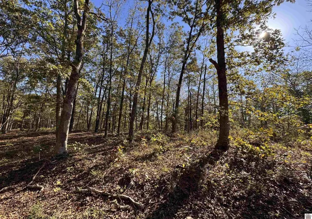 Homes for sale in New Concord, KY | 00 Ridge Rd, New Concord, KY 42076 | MLS# 26016755