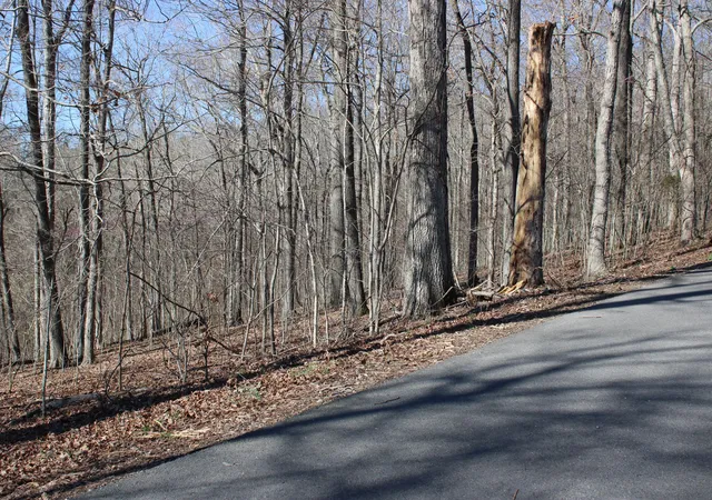 Homes for sale in Eddyville, KY | Lot 42 And Lot 43 Lisanby Rd, Eddyville, KY 42038 | MLS# 26017677