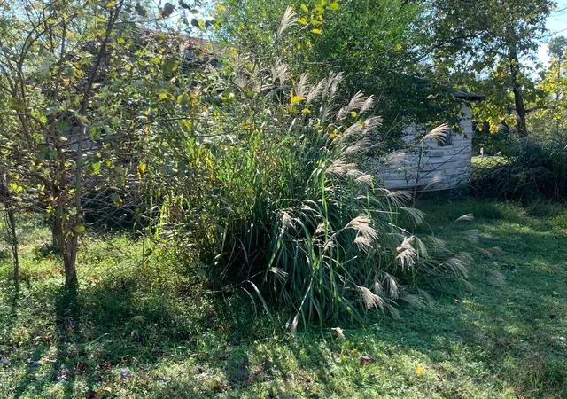 5th image of 266 Lone Valley Rd, Gilbertsville, KY 42044 | MLS# 26018070