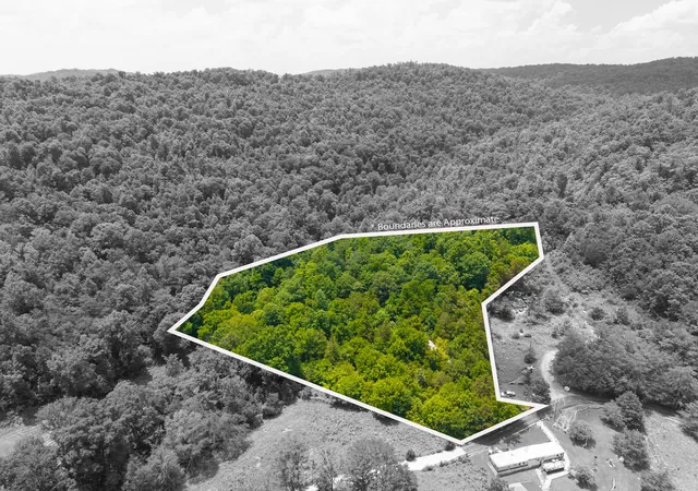 Homes for sale in Monticello, KY | 1 Barrier Cemetary Rd, Monticello, KY 42633 | MLS# 26016005