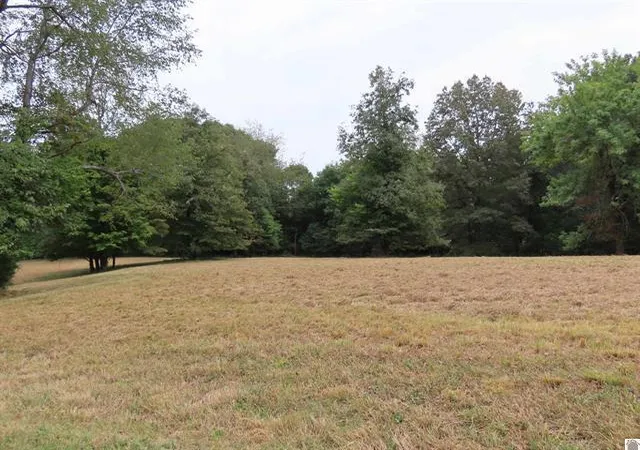 Homes for sale in Wingo, KY | Lots 1, 2, 3, 4 Pacific Ave, Wingo, KY 42088 | MLS# 26016574