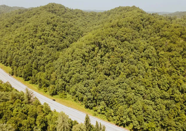 Photo 3 of Land for sale at 8626 N Kentucky 15 Hwy, Vancleve, KY 41385 | MLS# 26016113 | Listing updated on 2026-07-08