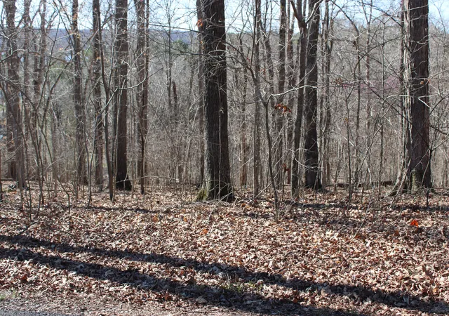 Homes for sale in Eddyville, KY | Lot 44 And Lot 45 Lisanby Rd, Eddyville, KY 42038 | MLS# 26017676