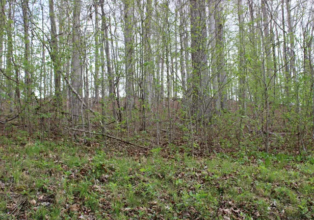 Homes for sale in Eddyville, KY | Lot 80 Lisanby Rd, Eddyville, KY 42038 | MLS# 26017679