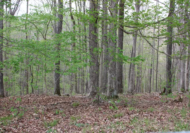 Homes for sale in Eddyville, KY | Lot 80 Lisanby Rd, Eddyville, KY 42038 | MLS# 26017679