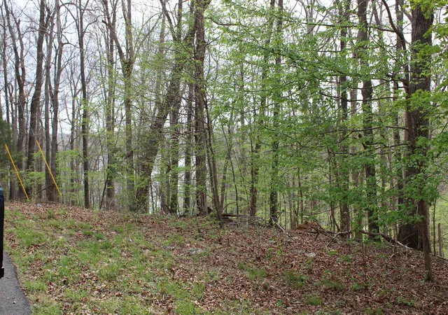 Homes for sale in Eddyville, KY | Lot 80 Lisanby Rd, Eddyville, KY 42038 | MLS# 26017679