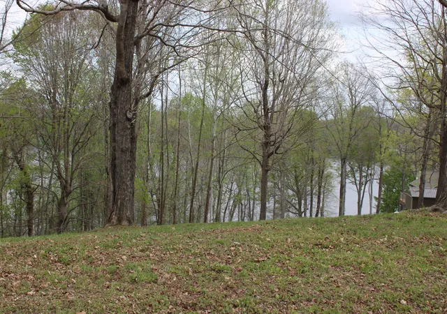 Homes for sale in Eddyville, KY | Lot 80 Lisanby Rd, Eddyville, KY 42038 | MLS# 26017679