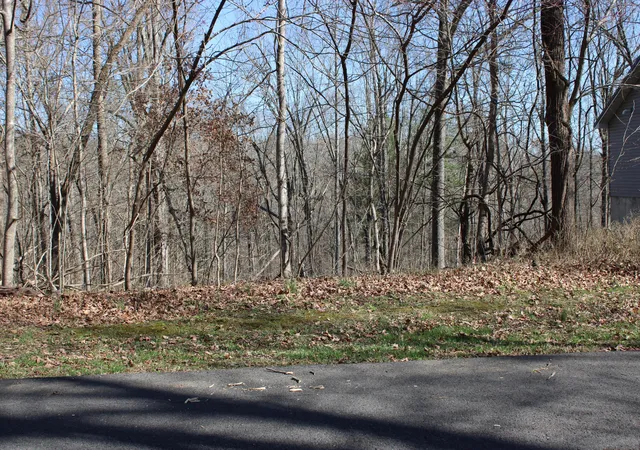 Homes for sale in Eddyville, KY | Lot 54 And Lot 55 Lisanby Rd, Eddyville, KY 42038 | MLS# 26017678
