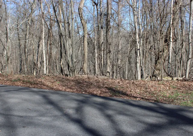 Homes for sale in Eddyville, KY | Lot 54 And Lot 55 Lisanby Rd, Eddyville, KY 42038 | MLS# 26017678