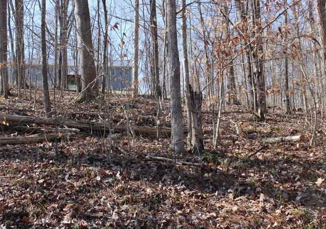 Photo 3 of Land for sale at Lot 54 And Lot 55 Lisanby Rd, Eddyville, KY 42038 | MLS# 26017678 | Listing updated on 2026-09-01
