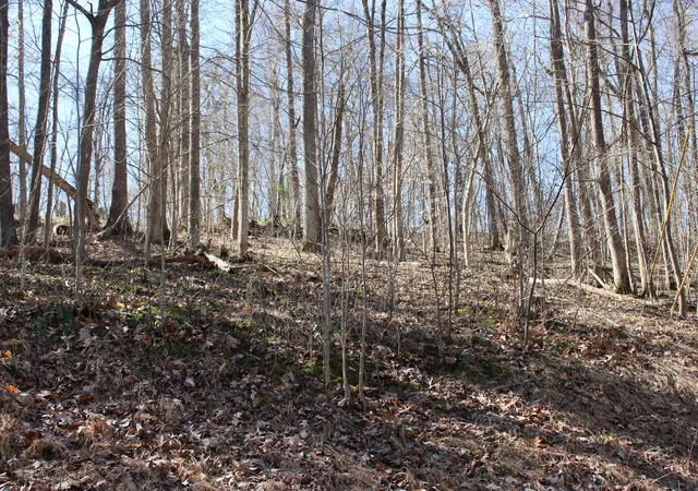 Homes for sale in Eddyville, KY | Lot 54 And Lot 55 Lisanby Rd, Eddyville, KY 42038 | MLS# 26017678