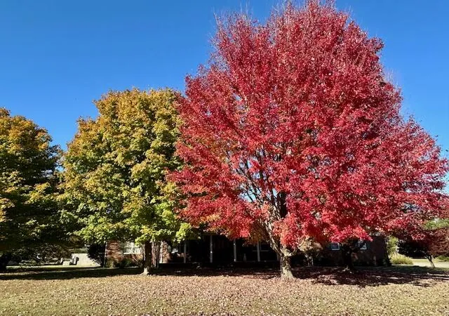 2nd image of 2200 Creekwood Dr, Murray, KY 42071 | MLS# 26016068
