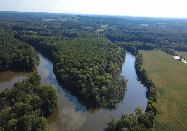 Photo 4 of Land for sale at 00 Lake Rd, Morgantown, KY 42261 | MLS# 26019236 | Listing updated on 2026-07-31