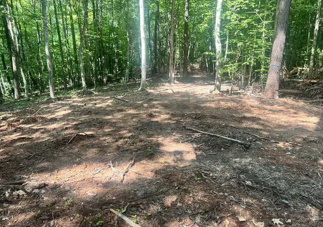 3rd image of 0000 State Hwy 1546, Monticello, KY 42633 | MLS# 26016121