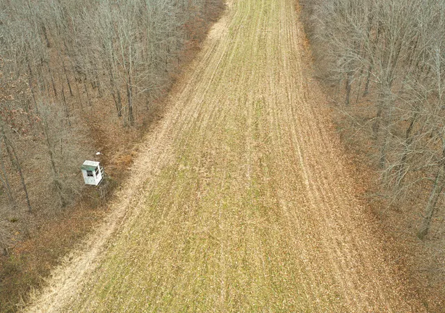 3rd image of 1385 Mayes Ln, Paducah, KY 42003 | MLS# 26016199
