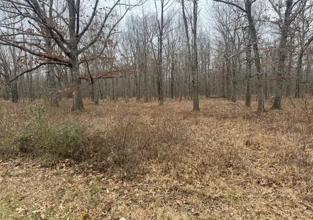 5th image of 1385 Mayes Ln, Paducah, KY 42003 | MLS# 26016199