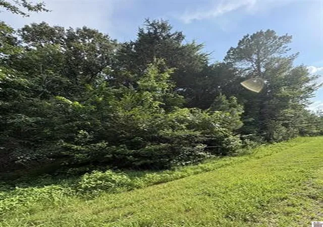 Homes for sale in Murray, KY | 157 Deepwood Dr, Murray, KY 42071 | MLS# 26016333