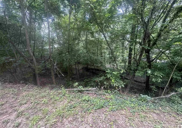 Homes for sale in Eddyville, KY | 715 Country Hills Dr #Lot 15, Eddyville, KY 42038 | MLS# 26016232