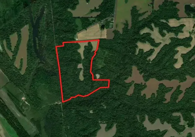 Homes for sale in Bardwell, KY | 000 Sandy Branch Rd, Bardwell, KY 42023 | MLS# 26017047