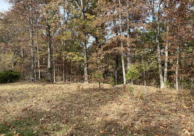 Homes for sale in Murray, KY | Lot 24 Haynes Cemetery Rd, Murray, KY 42071 | MLS# 26017714