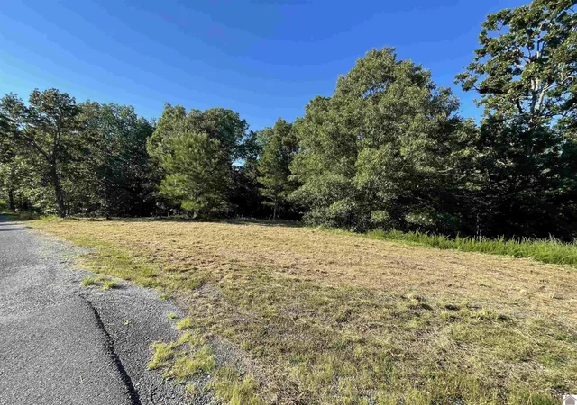 Homes for sale in New Concord, KY | Lot 45 & 46 000 Patricia Dr, New Concord, KY 42076 | MLS# 26018009