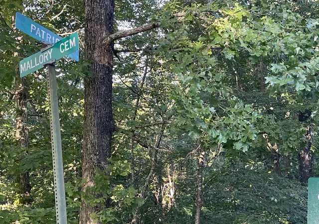 Photo 4 of Land for sale at Lot 45 & 46 000 Patricia Dr, New Concord, KY 42076 | MLS# 26018009 | Listing updated on 2026-07-13