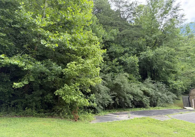 Homes for sale in Heidrick, KY | 999 Mcdonalds Ln, Heidrick, KY 40949 | MLS# 26016293