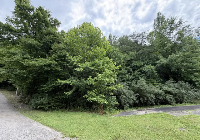 Homes for sale in Heidrick, KY | 999 Mcdonalds Ln, Heidrick, KY 40949 | MLS# 26016293