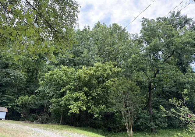 Homes for sale in Heidrick, KY | 999 Mcdonalds Ln, Heidrick, KY 40949 | MLS# 26016293