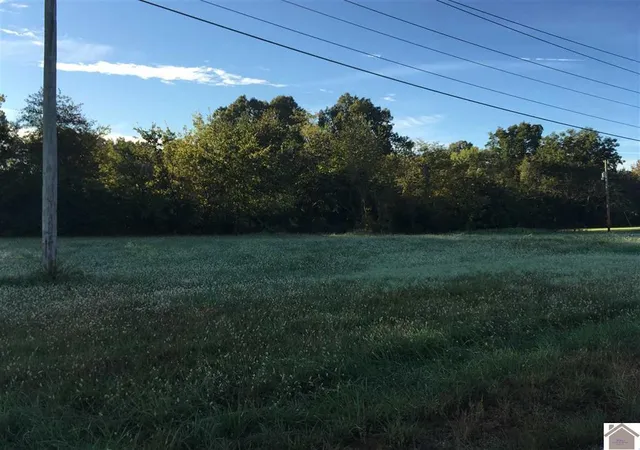 Photo 1 of Land for sale at 6 Tract# Access Rd, Benton, KY 42025 | MLS# 26016302 | Listing updated on 2026-07-08