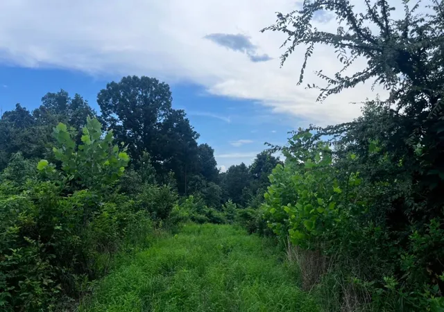 Homes for sale in Cadiz, KY | 14-00921 Fire Tower Rd, Cadiz, KY 42211 | MLS# 26016314