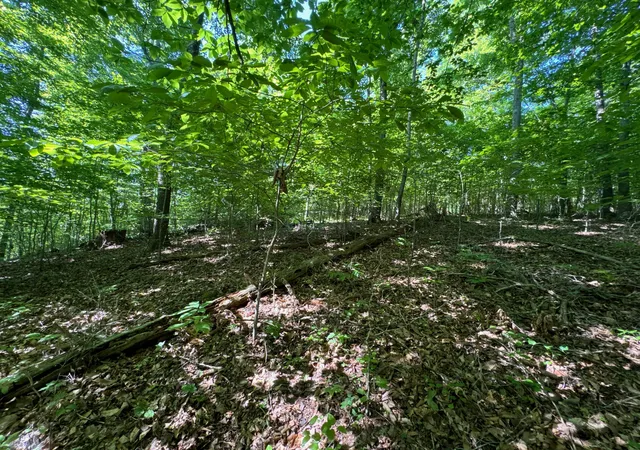 Photo 3 of Land for sale at 4 Village Ct, Russell Springs, KY 42642 | MLS# 26016312 | Listing updated on 2026-07-06