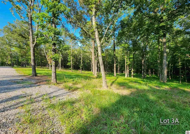 Photo 3 of Land for sale at Lot 3a Serenity Village Dr, Benton, KY 42025 | MLS# 26020701 | Listing updated on 2026-08-02