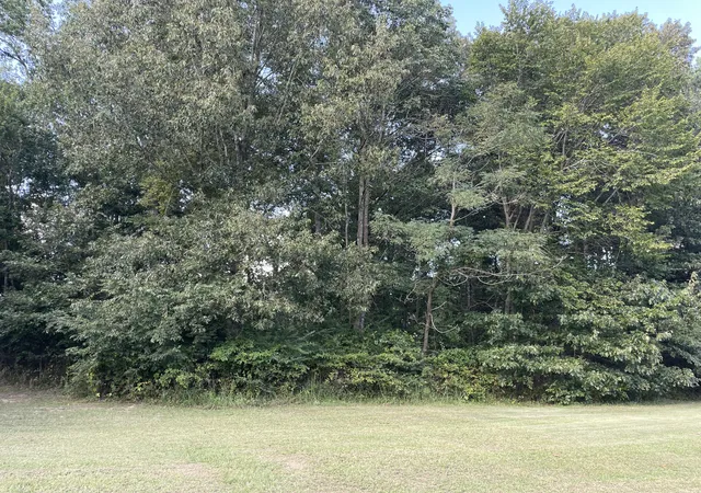 Homes for sale in Murray, KY | Lot 39 Saddle Creek Subdivision, Murray, KY 42071 | MLS# 26016492