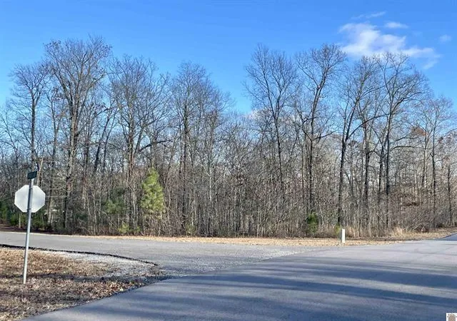 Photo 2 of Land for sale at Lot 95 Deepwood Dr, Murray, KY 42071 | MLS# 26017193 | Listing updated on 2026-07-22