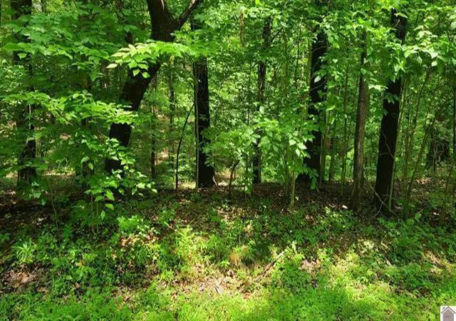 Photo 1 of Land for sale at Lots 217 218 Sand Dr, Murray, KY 42071 | MLS# 26017100 | Listing updated on 2026-10-20