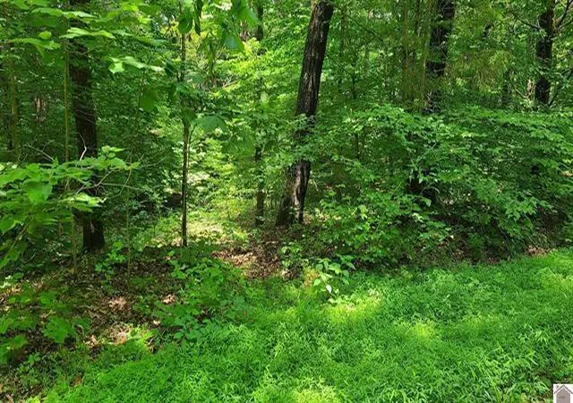 Photo 2 of Land for sale at Lots 217-218 Sand Dr, Murray, KY 42071 | MLS# 26017100 | Listing updated on 2026-10-20