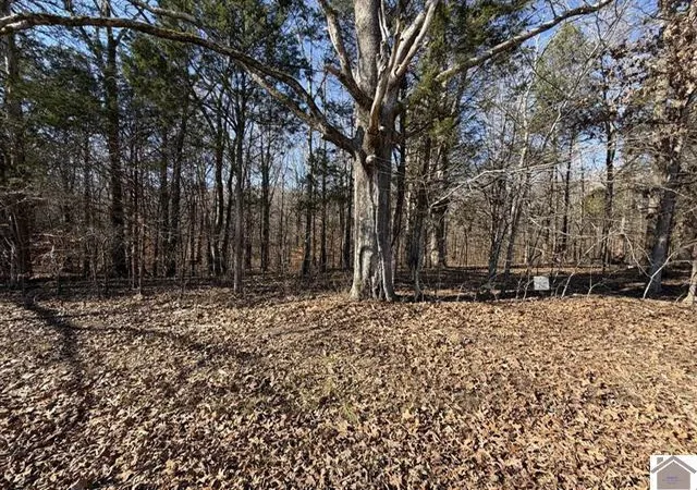 Photo 1 of Sale Pending at Lot 46 Bayridge Rd, New Concord, KY 42076 | MLS# 26020619 | Listing updated on 2026-09-09