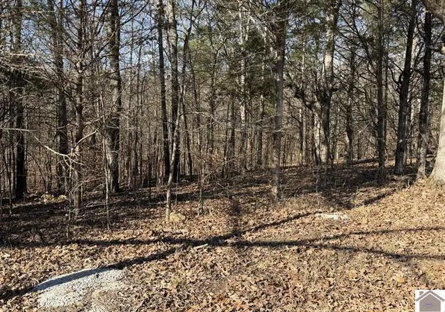 Photo 2 of Sale Pending at Lot 46 Bayridge Rd, New Concord, KY 42076 | MLS# 26020619 | Listing updated on 2026-09-09