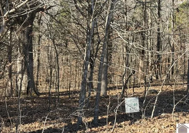 Photo 3 of Sale Pending at Lot 46 Bayridge Rd, New Concord, KY 42076 | MLS# 26020619 | Listing updated on 2026-09-09