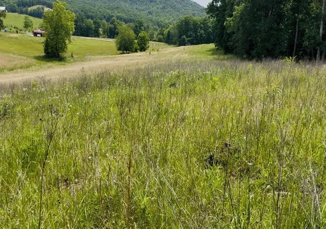 Homes for sale in Jeffersonville, KY | 209 Clay Lick Rd, Jeffersonville, KY 40337 | MLS# 26016523