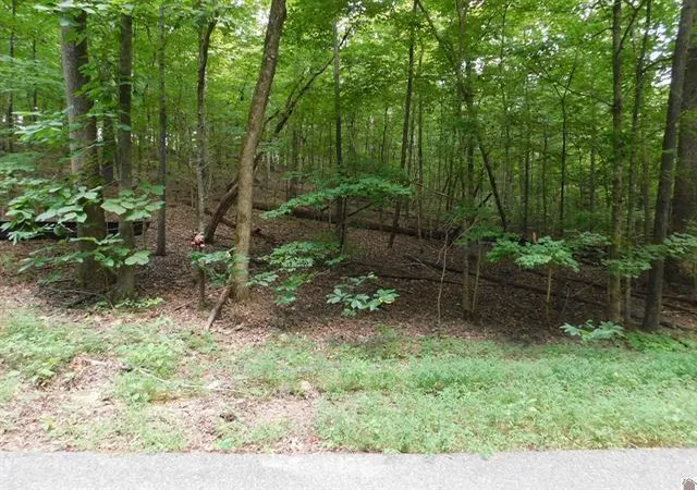 Homes for sale in Kuttawa, KY | 0 Champion Hills Rd #Lots 81, 82, 83, Kuttawa, KY 42055 | MLS# 26016602