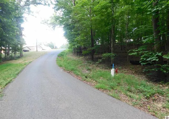 Homes for sale in Kuttawa, KY | 0 Champion Hills Rd #Lots 81, 82, 83, Kuttawa, KY 42055 | MLS# 26016602