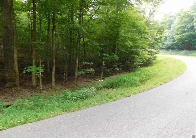 Homes for sale in Kuttawa, KY | 0 Champion Hills Rd #Lots 81, 82, 83, Kuttawa, KY 42055 | MLS# 26016602