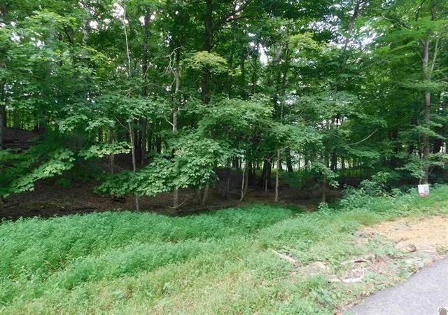 Homes for sale in Kuttawa, KY | 0 Champion Hills Rd #Lots 81, 82, 83, Kuttawa, KY 42055 | MLS# 26016602