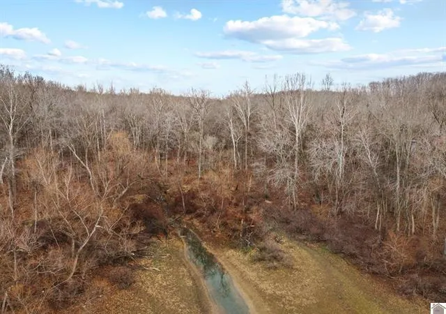 Homes for sale in Eddyville, KY | 0 Kentucky 274, Eddyville, KY 42038 | MLS# 26016603