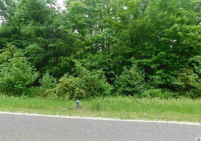 Homes for sale in Eddyville, KY | 0 Devillez Rd #Lots 63, 64, 65, Eddyville, KY 42038 | MLS# 26016606