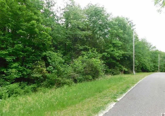 Homes for sale in Eddyville, KY | 0 Devillez Rd #Lots 63, 64, 65, Eddyville, KY 42038 | MLS# 26016606