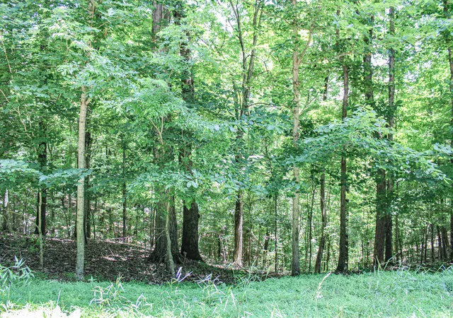 Homes for sale in Eddyville, KY | 0 Algonquin Rd, Eddyville, KY 42038 | MLS# 26017375